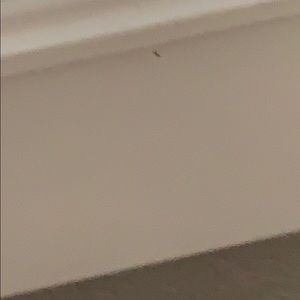 Meet your Posher, Evinnie